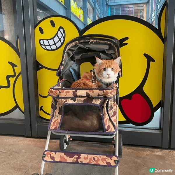 寵物友善好去處2024 