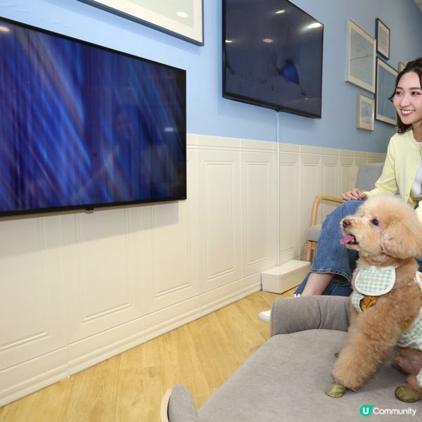 寵物友善好去處2024 