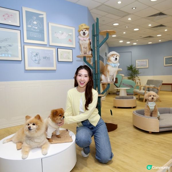 寵物友善好去處2024 