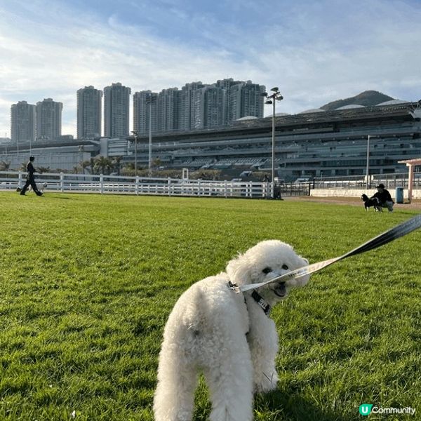 寵物友善好去處2024 