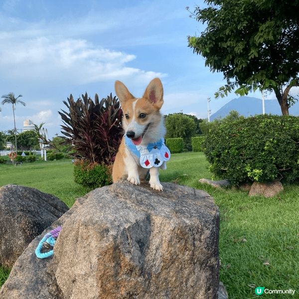 寵物友善好去處2024 