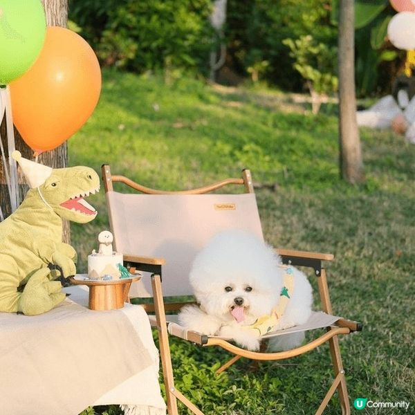 寵物友善好去處2024 