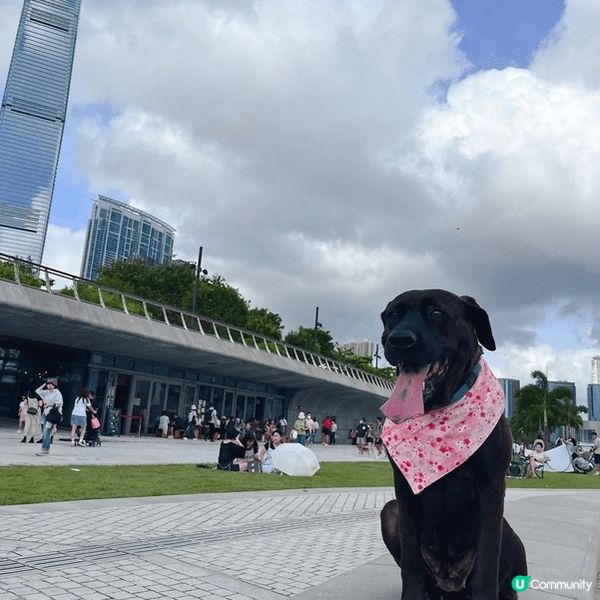 寵物友善好去處2024 