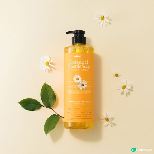 社群6月盛夏獻禮｜立即登記｜帶走主題樂園同演唱會門票等巨獎