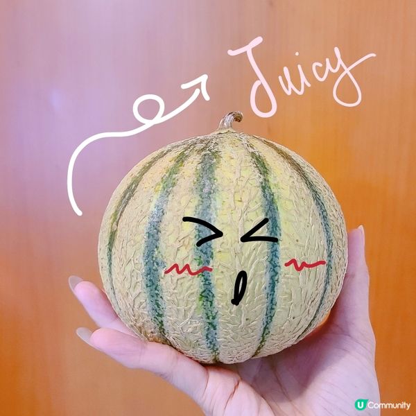 來自法國既朋友仔 🍈