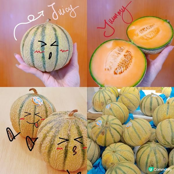 來自法國既朋友仔 🍈