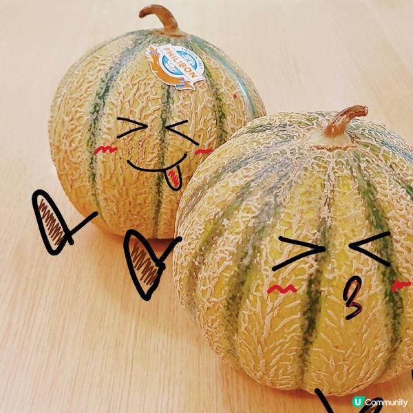 來自法國既朋友仔 🍈