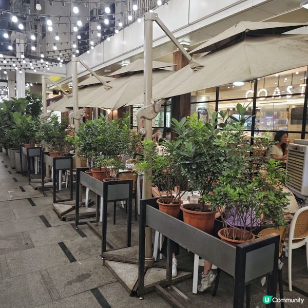 海洋🌊風格🍽️西餐廳