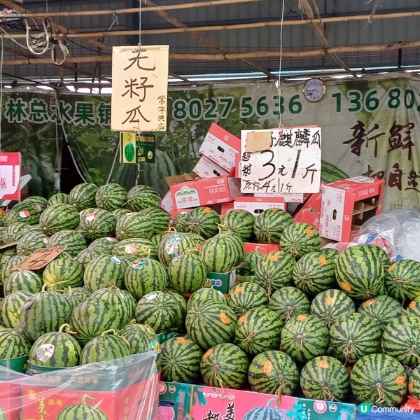 內地中山一天團