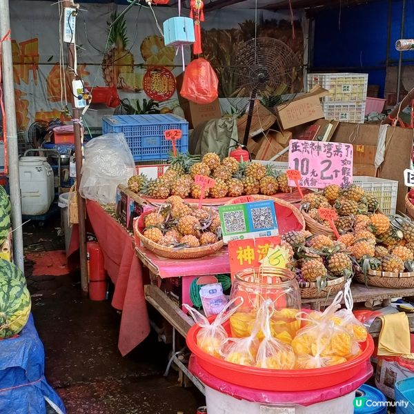 內地中山一天團