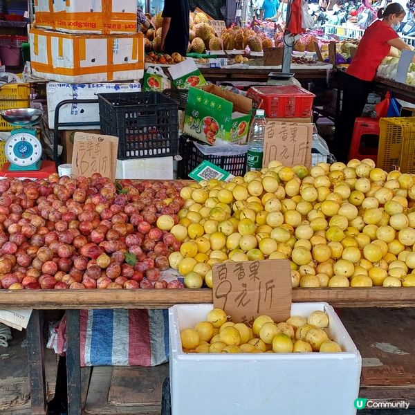 內地中山一天團