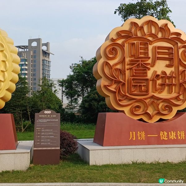 內地中山一天團