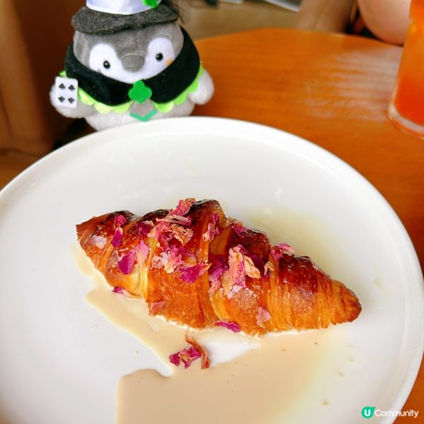 牛角系列好出色😍