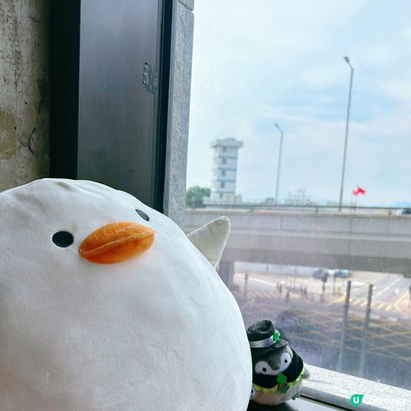 牛角系列好出色😍