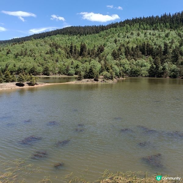 低成本遊雲南-Day3 (普達措國家公園-尋求幸福意義)