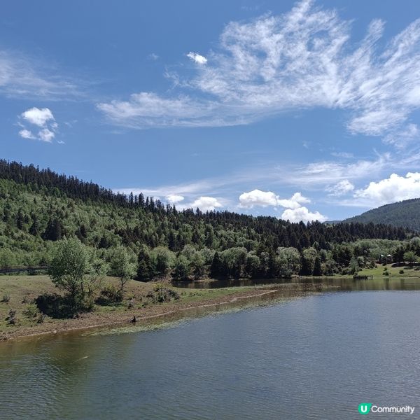 低成本遊雲南-Day3 (普達措國家公園-尋求幸福意義)