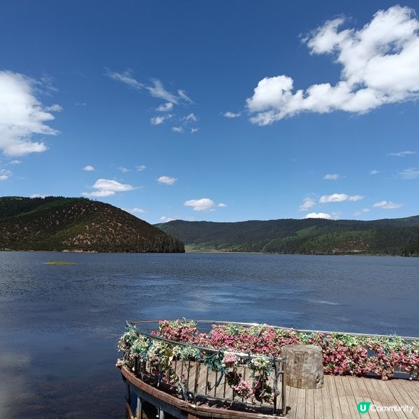 低成本遊雲南-Day3 (普達措國家公園-尋求幸福意義)