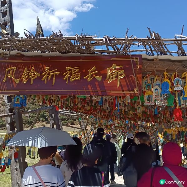 低成本遊雲南-Day3 (普達措國家公園-尋求幸福意義)