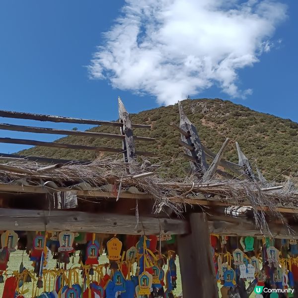 低成本遊雲南-Day3 (普達措國家公園-尋求幸福意義)