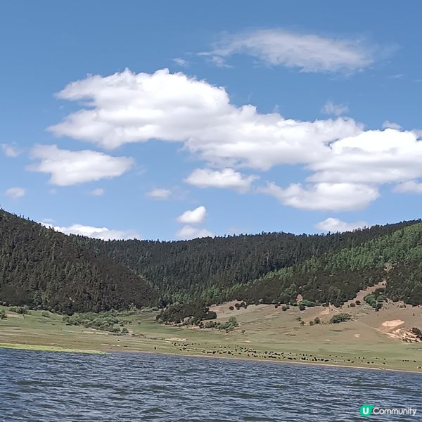 低成本遊雲南-Day3 (普達措國家公園-尋求幸福意義)