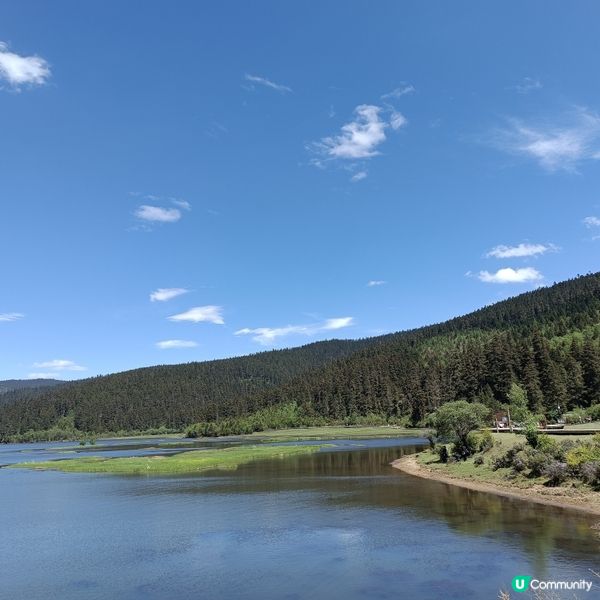 低成本遊雲南-Day3 (普達措國家公園-尋求幸福意義)