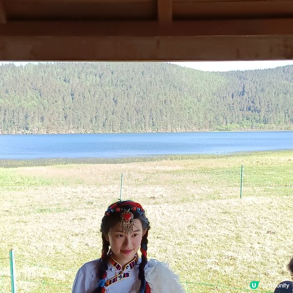 低成本遊雲南-Day3 (普達措國家公園-尋求幸福意義)