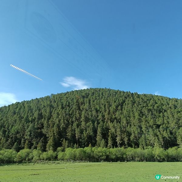 低成本遊雲南-Day3 (普達措國家公園-尋求幸福意義)