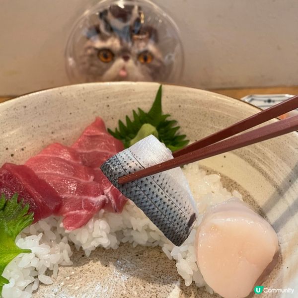 🇯🇵沼津高質魚生飯 漁港廚師精選發板 只需HKD140