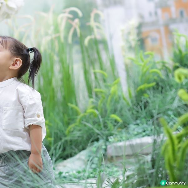 兩兄弟兵分兩路·東京·名古屋