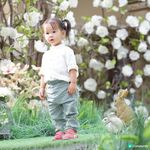兩兄弟兵分兩路·東京·名古屋