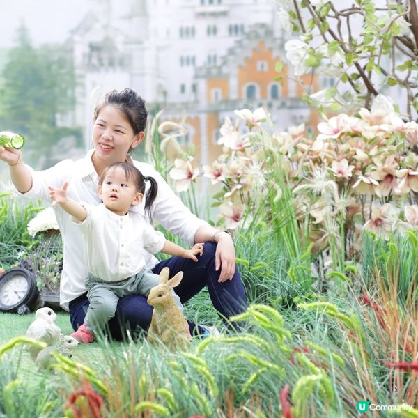 兩兄弟兵分兩路·東京·名古屋