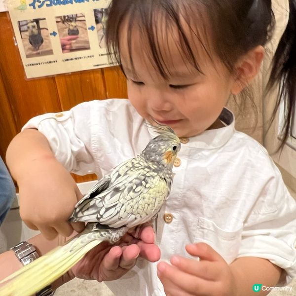 兩兄弟兵分兩路·東京·名古屋