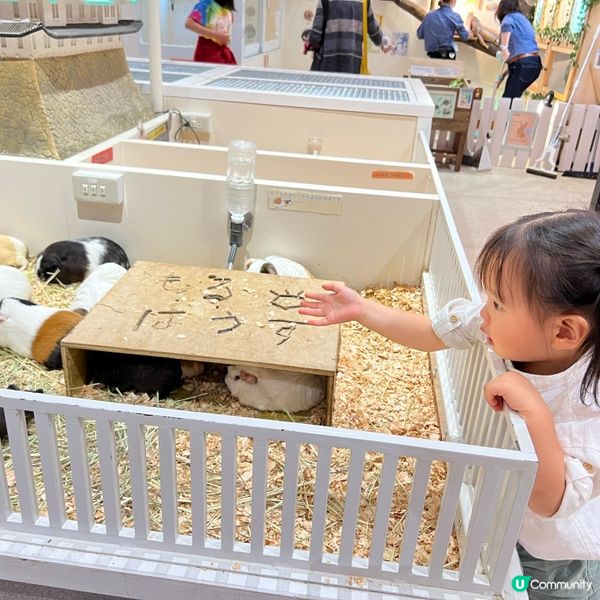 兩兄弟兵分兩路·東京·名古屋
