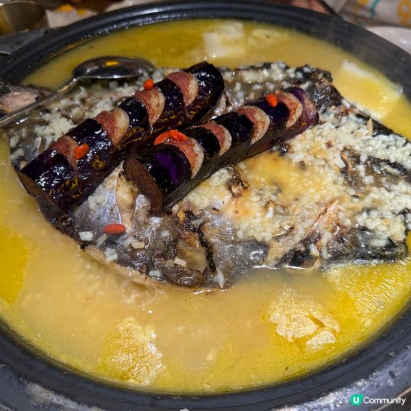 深圳人氣餐廳！探魚必食餐牌💕