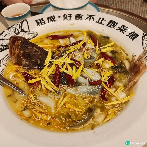 🐟靚裝酸菜魚🐟