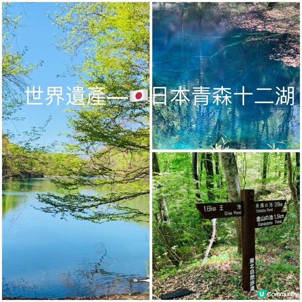 探訪日本青森嘅十二湖 | 隱藏喺自然中嘅寶石 💎