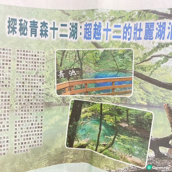 探訪日本青森嘅十二湖 | 隱藏喺自然中嘅寶石 💎