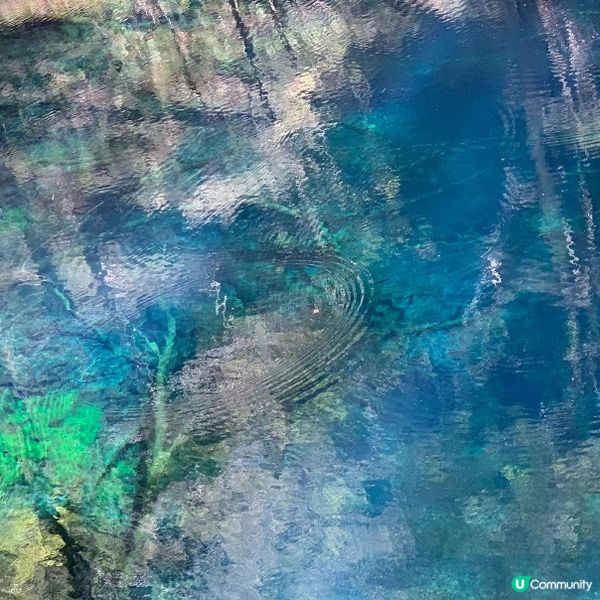 探訪日本青森嘅十二湖 | 隱藏喺自然中嘅寶石 💎