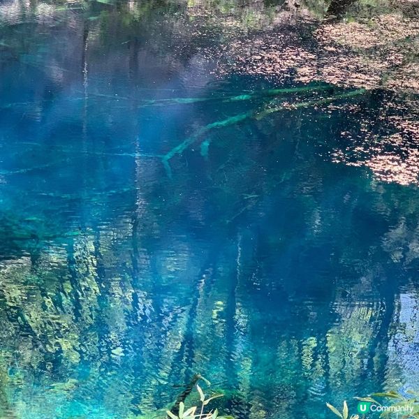 探訪日本青森嘅十二湖 | 隱藏喺自然中嘅寶石 💎