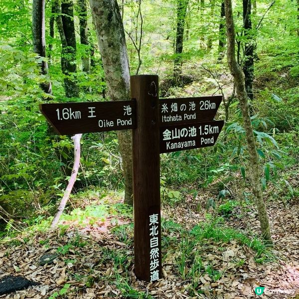 探訪日本青森嘅十二湖 | 隱藏喺自然中嘅寶石 💎