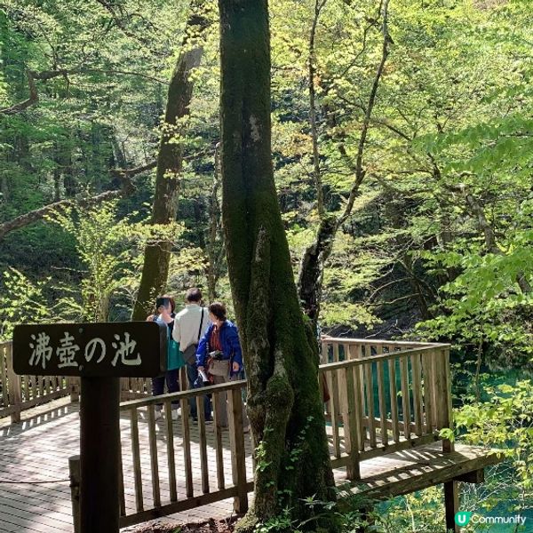 探訪日本青森嘅十二湖 | 隱藏喺自然中嘅寶石 💎