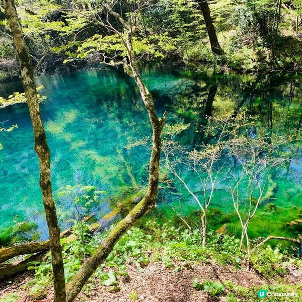 探訪日本青森嘅十二湖 | 隱藏喺自然中嘅寶石 💎