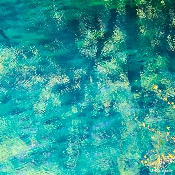 探訪日本青森嘅十二湖 | 隱藏喺自然中嘅寶石 💎