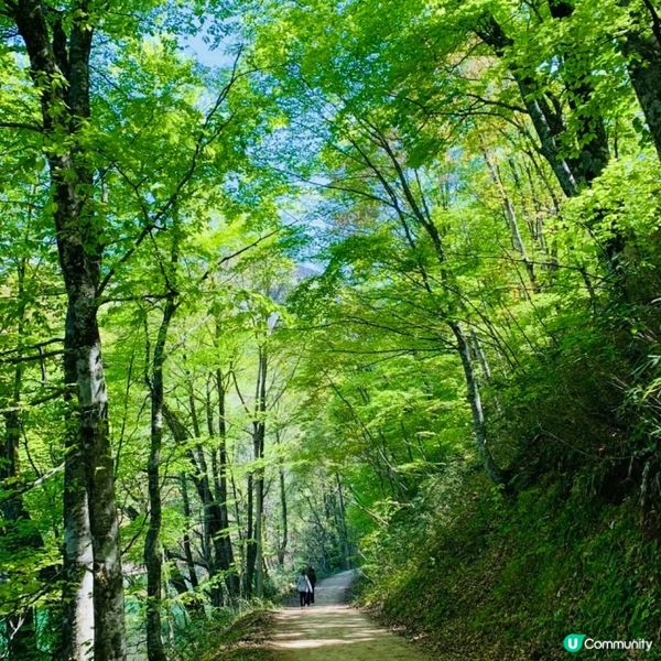 探訪日本青森嘅十二湖 | 隱藏喺自然中嘅寶石 💎