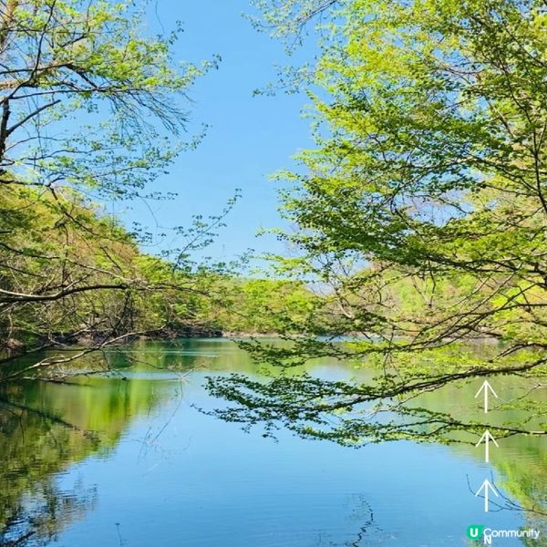 探訪日本青森嘅十二湖 | 隱藏喺自然中嘅寶石 💎