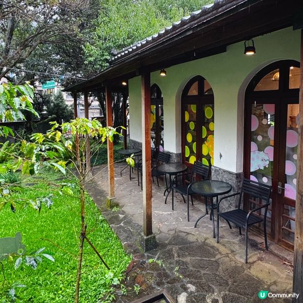 《台北》竹林中的日式老屋•豆留森林