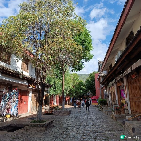 低成本遊雲南-Day5(束河古鎮)