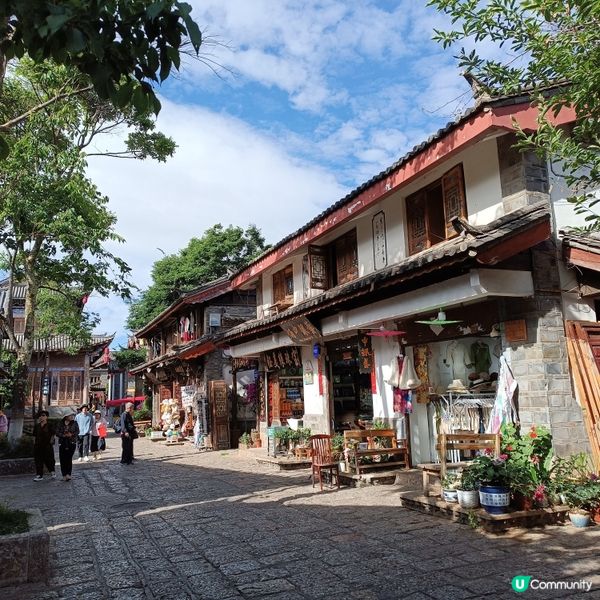 低成本遊雲南-Day5(束河古鎮)