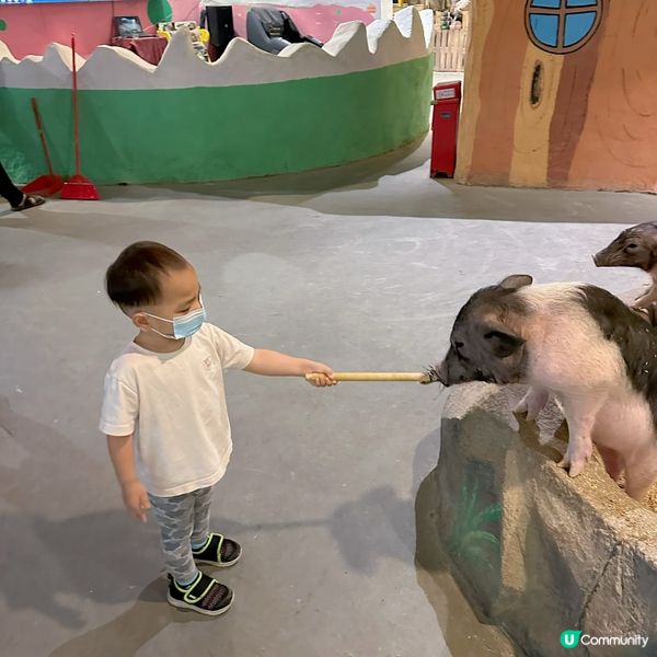  窩窩萌寵樂園（大仟里購物中心店）初體驗