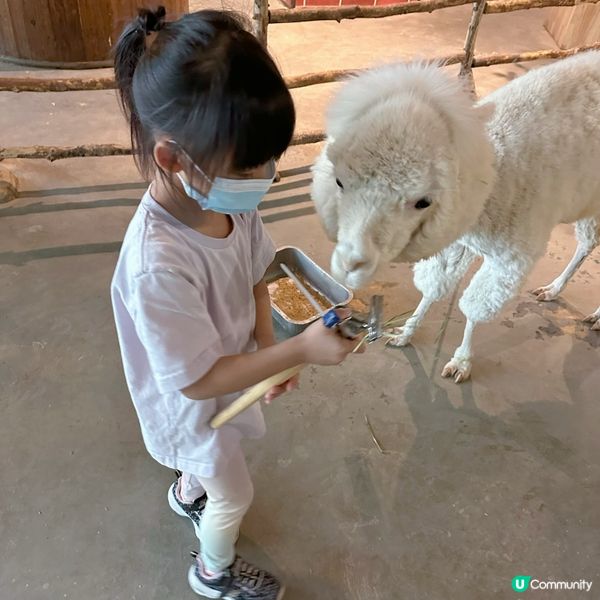  窩窩萌寵樂園（大仟里購物中心店）初體驗